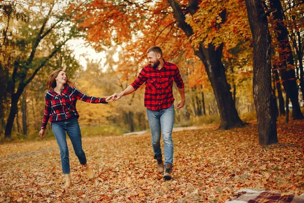 Stel Een Park Familie Een Gouden Bos Man Met Een — Stockfoto