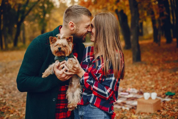 一对在公园里的夫妇 一家人在金色的森林里 带狗的男人 — 图库照片