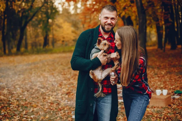 Stel Een Park Familie Een Gouden Bos Man Met Een — Stockfoto