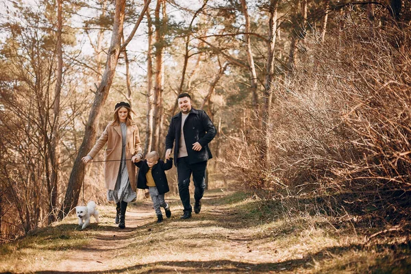 Sevimli Küçük Oğlu Olan Bir Aile Parkta Çocuklu Ebeveynler — Stok fotoğraf