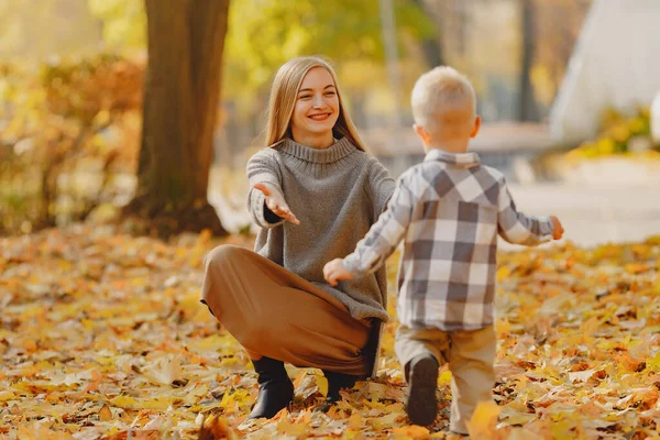 一家人在秋天的公园里 穿着棕色毛衣的妈妈穿衬衫的小男孩很可爱 — 图库照片