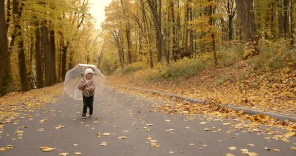 Ένα Χαρούμενο Κοριτσάκι Κρατά Μια Διάφανη Ομπρέλα Διασκεδάζει Φύλλα Που — Αρχείο Βίντεο