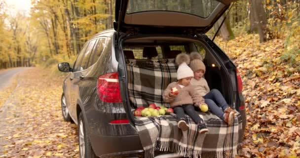 Two Children Beige Clothes Sitting Open Trunk Car Apples Lie — Wideo stockowe