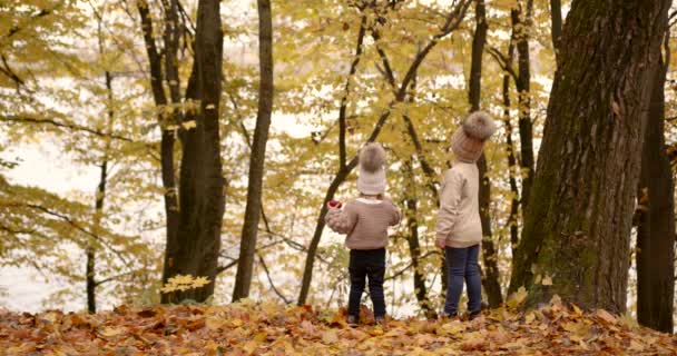 Rear View Brother Sister Standing Middle Autumn Park Little Girl — ストック動画
