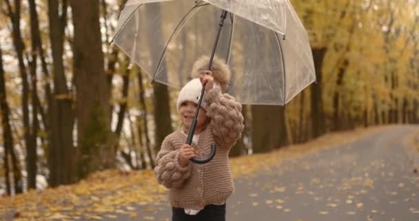 Cheerful Little Girl Child Holds Transparent Umbrella Has Fun Fall — Stok video