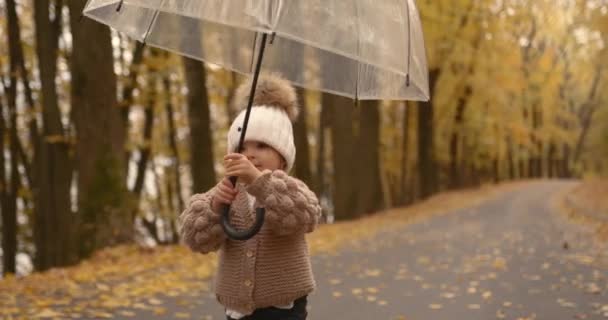 Cheerful Little Girl Child Holds Transparent Umbrella Has Fun Fall — Vídeo de Stock