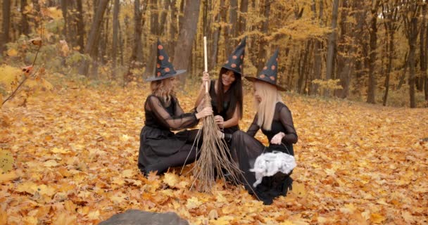 Young Women Dressesd Witches Gathered Autumn Park Witches Doing Ritual — Vídeo de Stock