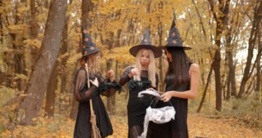 Autumn park setting. Young girls in halloween costumes and hats holding a cat. Halloween decorations.