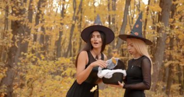 Young women dressesd as witches gathered in autumn park. Witches doing ritual. Halloween concept.