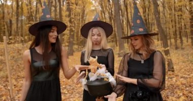 Young women dressesd as witches gathered in autumn park. Witches doing ritual. Halloween concept.