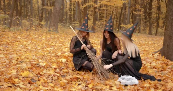 Young Women Dressesd Witches Gathered Autumn Park Witches Doing Ritual — Vídeo de Stock