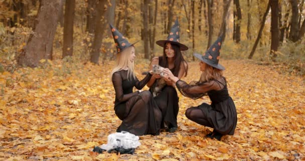 Young Women Dressesd Witches Gathered Autumn Park Witches Doing Ritual — Vídeo de Stock