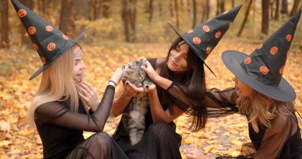 Autumn Park Setting Young Girls Halloween Costumes Hats Holding Cat — Stockvideo
