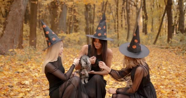 Autumn Park Setting Young Girls Halloween Costumes Hats Holding Cat — Wideo stockowe