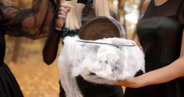 Young Women Dressesd Witches Gathered Autumn Park Witches Doing Ritual — Stockvideo