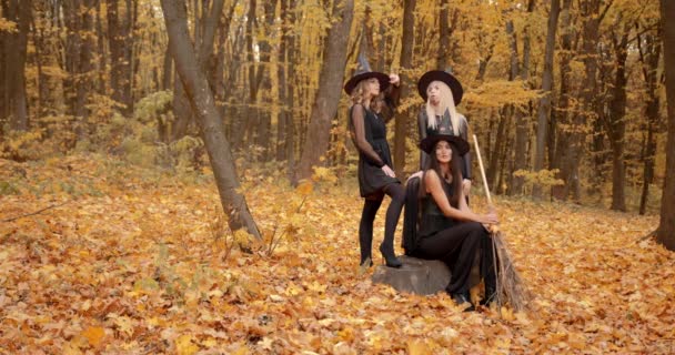 Halloween Theme Three Girls Waring Witch Costumes Holding Brooms Standing — Stok video