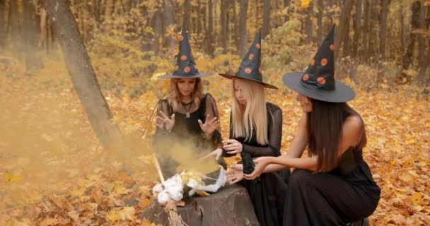 Young Women Dressesd Witches Gathered Autumn Park Witches Doing Ritual — 图库视频影像
