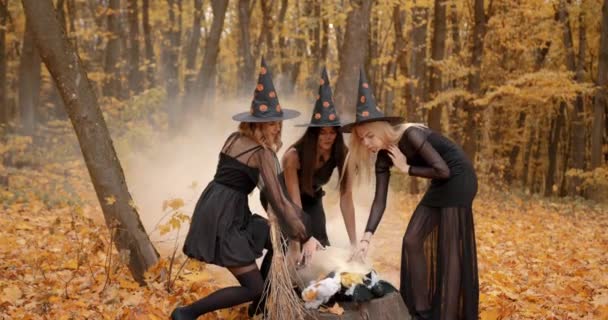 Young Women Dressesd Witches Gathered Autumn Park Witches Doing Ritual — Vídeos de Stock