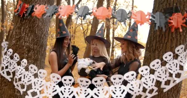 Young Women Dressesd Witches Gathered Autumn Park Witches Doing Ritual — Vídeos de Stock