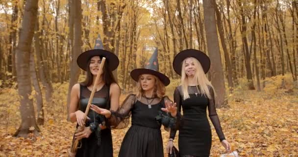 Girls Halloween Costumes Walking Forest Atumn Season — 图库视频影像