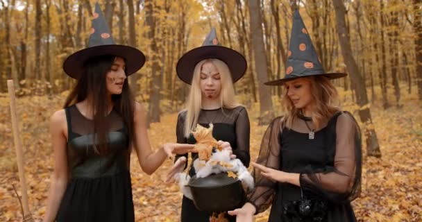 Young Women Dressesd Witches Gathered Autumn Park Witches Doing Ritual — Stockvideo