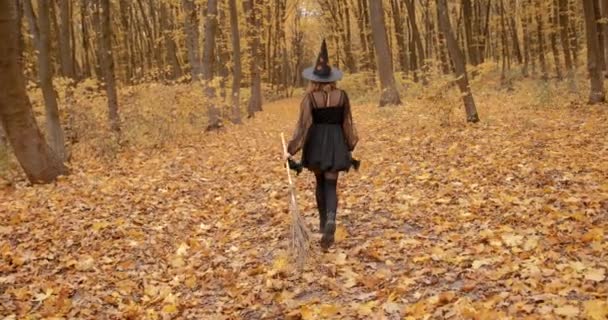 Молода Дівчина Одягнена Відьма Проходить Через Ліс Осінній Сезон Хелловін — стокове відео