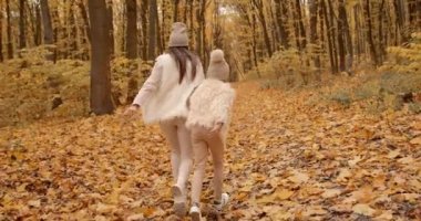 Mutlu aile bir arada tutan yürüyüş ormanda eller.