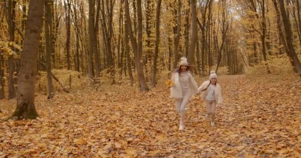 Família Feliz Andando Juntos Mãos Dadas Floresta — Vídeo de Stock