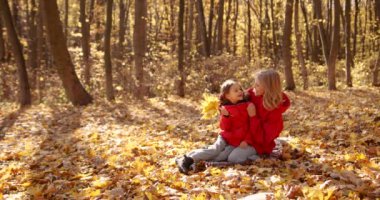 Young mother hugs her daughter sitting on a blanket. They bask in the sun. Little girl holding yellow leaves in her hands. Dogs behind play in the foliage. Happy weekend outside the city