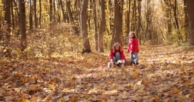 Young mother and daughter sit down and hold dogs in their arms. Warm up with animals on the lawn on a sunny autumn day.