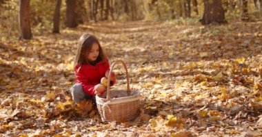 Close-up view of little girl in red playing with dogs in a fallen leaf in the woods. Happy sunny day