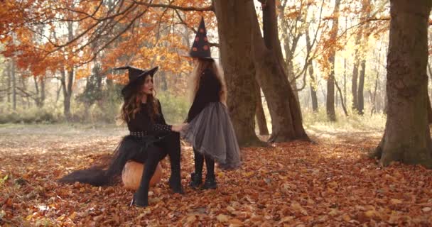 Attractive Woman Special Dress Hat Looks Witch Autumn Forest Sitting — Stock video