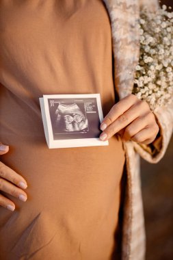 Close up of an expecting pregnant woman wearing a brown shirt and beige jacket and holding her belly outdoor. A cropped image of pregnant woman in the autumn park. Woman holding a ultrasound image of