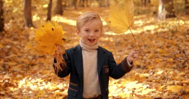 Back School Concept Happy Kid Playing Leaves Park Stylish Kids — Stockvideo