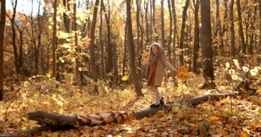Little girl holding bunches of maple fallen leaves. Kid walking inthe forest. Autumn weekend.