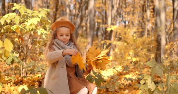Little Girl Holding Bunches Maple Fallen Leaves Kid Walking Inthe — Stockvideo