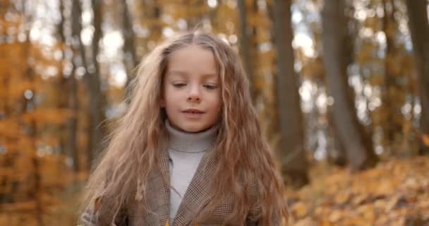 Little Girl Blowing Golden Fallen Leaves Autumn Park Sunny Day — Vídeo de Stock