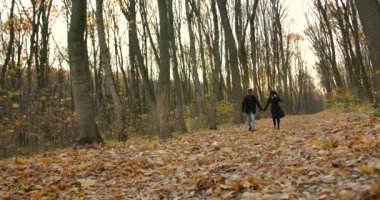 Young people walking together in park in autumn. Man and woman strolling among fallen leaves in a beautiful park.