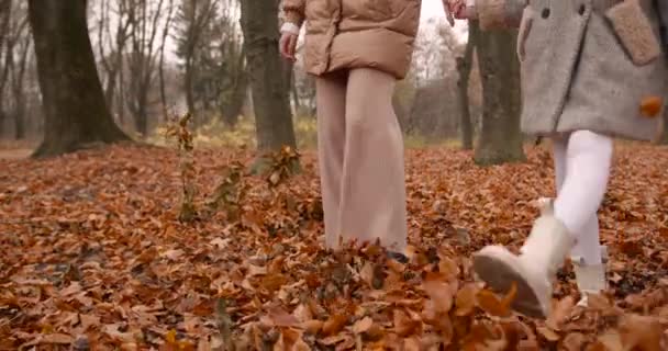 Temporada Otoño Feliz Mamá Hija Con Abrigos Divirtiéndose Bosque Hermosa — Vídeo de stock