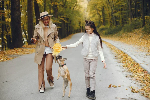 Mulher Menina Cachorro Caminhando Parque Outono Buldogue Francês Marrom Com — Fotografia de Stock