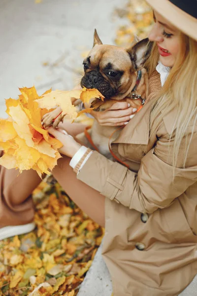Женщина Собака Собирают Листья Осеннем Парке Бурый Французский Бульдог Хозяйкой — стоковое фото