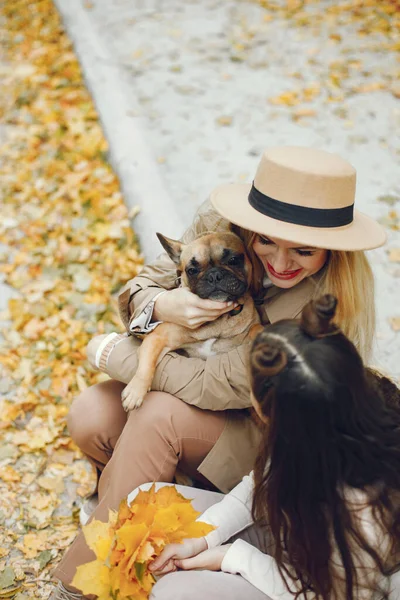 Женщина Маленькая Девочка Собака Играют Осеннем Парке Бурый Французский Бульдог — стоковое фото