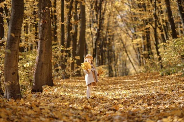 Dziewczynka Ubraniach Mody Spaceruje Jesiennym Parku Dziewczyna Żółtymi Liśćmi Dziewczyna — Zdjęcie stockowe