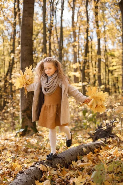 Dziewczynka Ubraniach Modowych Stojąca Jesiennym Lesie Dziewczyna Żółtymi Liśćmi Dziewczyna — Zdjęcie stockowe