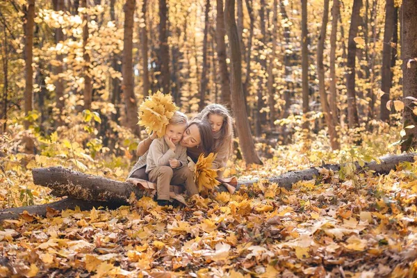 Junge Frau Und Kleines Mädchen Und Junge Spazieren Herbstlichen Wald — Stockfoto