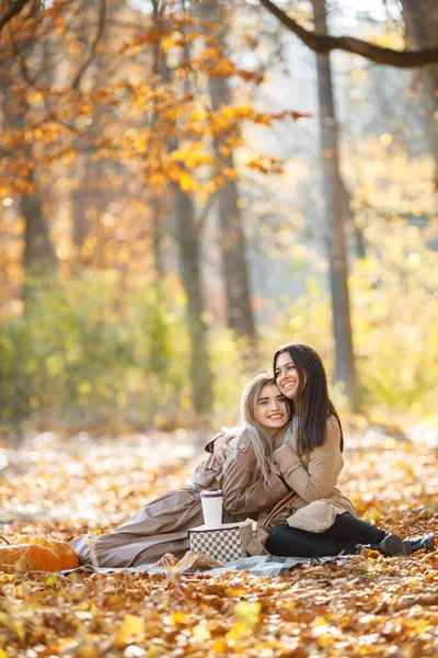 Duas Amigas Bonitas Passando Tempo Cobertor Piquenique Grama Duas Jovens — Fotografia de Stock