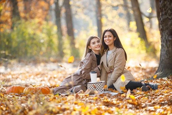 Twee Mooie Vriendinnen Die Tijd Doorbrengen Een Picknickdeken Het Gras — Stockfoto