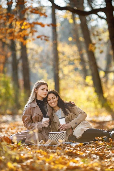 Dwie Piękne Przyjaciółki Spędzają Czas Kocu Piknikowym Trawie Dwie Młode — Zdjęcie stockowe