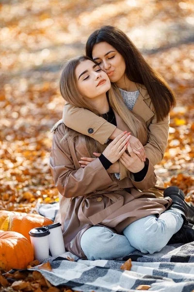 Two Beautiful Female Friends Spending Time Picnic Blanket Grass Two — Stock Photo, Image