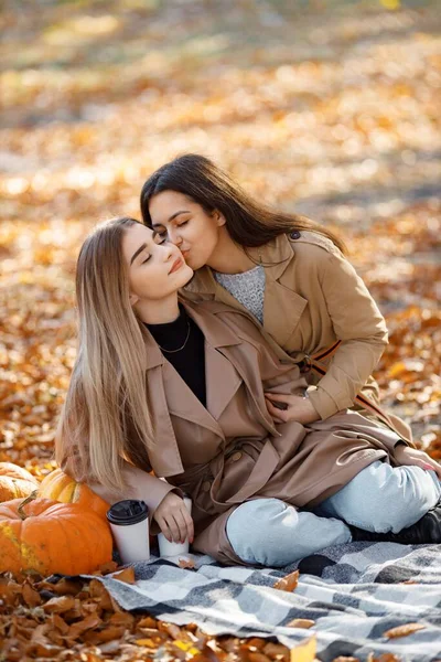 Duas Amigas Bonitas Passando Tempo Cobertor Piquenique Grama Duas Jovens — Fotografia de Stock